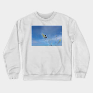 Little Chickadee Way Up High by Debra Martz Crewneck Sweatshirt